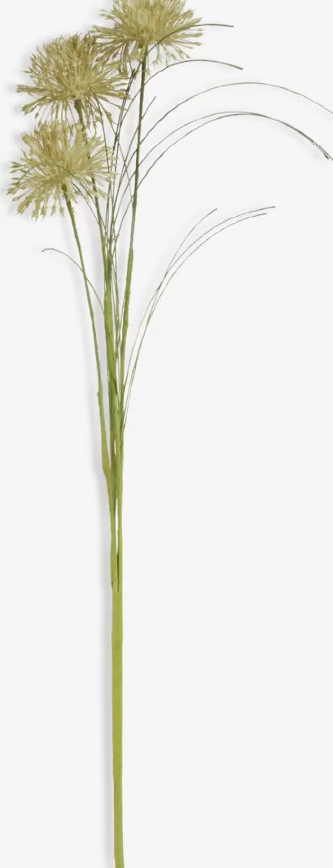 Clearance Kunstig blomst H53cm grøn Kunstige Blomster
