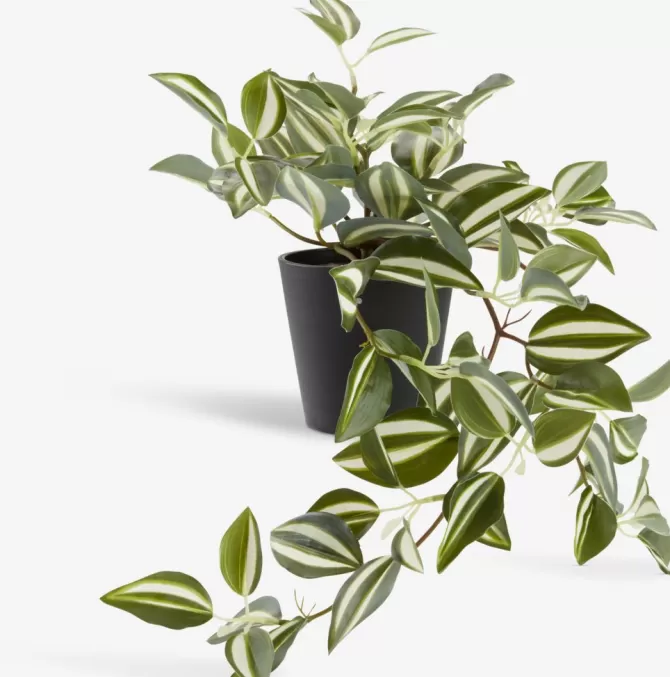 Clearance Kunstig plante H24cm Kunstige Planter