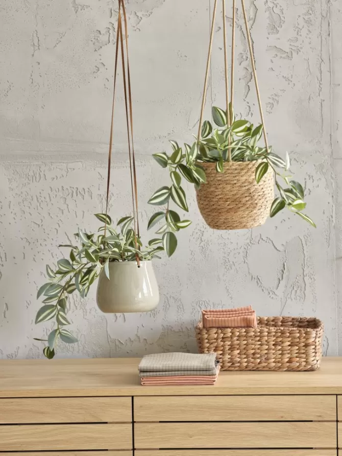 Clearance Kunstig plante H24cm Kunstige Planter