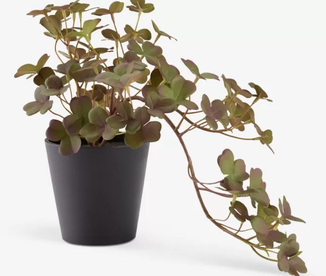 Shop Kunstig plante H21cm m/potte Kunstige Planter
