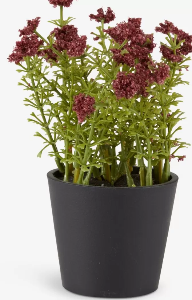 Cheap Kunstig plante Ø13xH16 Kunstige Planter