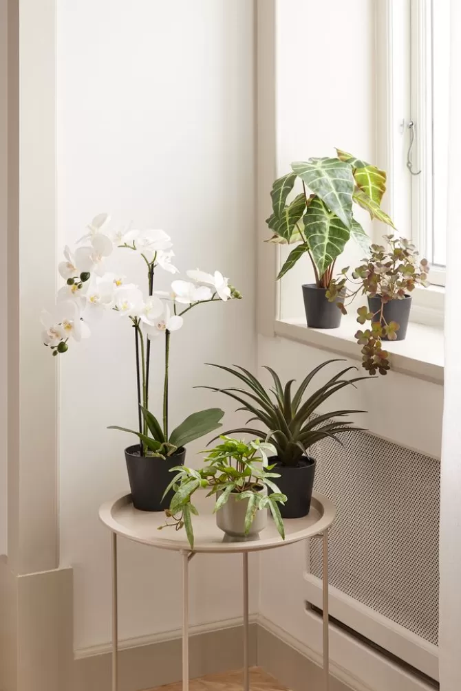 Online Kunstig plante H62cm m/blomster Kunstige Planter